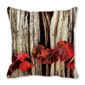 Peach skin pillow cover with vibrant autumn maple leaf print on wood texture - Wood Grain Background Autumn Leaves (21)