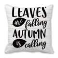 Funda de cojín de piel de melocotón con frase de otoño y estampado de hojas caídas - Especificación Estándar / Fondo de Grano de Madera Blanca de Imitación(15)