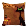 Halloween decorative pillow cover with cartoon black cat and pumpkin illustration - Spiral Green Eye Cat Pumpkin (23)
