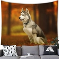 Detail of wall tapestry featuring a Siberian Husky in an autumn forest over a gray sofa - Husky Style (20) / 100x70cm (Peach Skin)