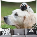 German Shepherd wall tapestry showing a cute golden dog and guinea pig in a cozy room - Golden Retriever and Guinea Pig Style (19) / 100x70cm (Peach Skin)