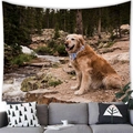 Διακοσμητική ταπετσαρία τοίχου με Golden Retriever που φοράει λουλουδάτο κασκόλ - 150x100 (Peach Skin) / Golden Retriever Με Μπλε Κασκόλ