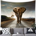 African elephant sunset tapestry displayed above a grey sofa in a modern living room - 100X70 / Road Sunset Elephant (Style 10)