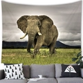 African elephant scenery wall tapestry made of brushed fabric for home wall decor - 100X70 / Cloudy Savanna Elephant (Style 11)