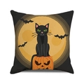 Halloween pillow cover with black cat on pumpkin under full moon and bats - Fanged Cat On Pumpkin (35)