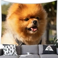 Watercolor Pomeranian dog tapestry hanging above a modern sofa for home wall decor - 19 / 100x70(Peach Skin)
