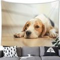 Close-up of a beagle dog wall tapestry hanging above a gray sofa in a warm living room decor - 18 / 100x70(Peach Skin)