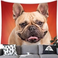 Detail of French Bulldog tapestry on living room wall above a grey sofa and pillows - French Bulldog Close-up Pattern 2 (Peach Skin) / 150x100cm