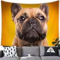 Bulldog portrait wall tapestry with bright orange background over a grey sofa - 7 / 100x70(Peach Skin)