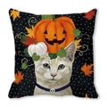 Halloween decorative pillowcase with cute cat, orange pumpkin and white dots on black - Black Base Pumpkin Cat (39)