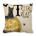 Halloween peach skin cushion cover with black cat on pumpkin and Trick or Treat text - Realistic Black Cat Pumpkin Style (39)