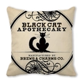 Deko-Kissenbezug mit Retro-Motiv Schwarze Katze Apotheke aus Pfirsichhaut-Samt - Schwarze Katze Apotheker Vintage (34) / 45x45 cm