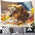 Watercolor Dachshund tapestry in autumn leaves hanging above a modern living room sofa - 14 / 100x70(Peach Skin)