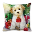 Détail d'une taie d'oreiller de Noël avec un chiot blanc tenant un coffret cadeau - Chiot Blanc Tenant une Boîte Cadeau (16)