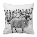 Detail of square pillowcase showing high-resolution sheep photography on soft peach skin fabric - 18x18 Inch / B&W Staring Sheep (26)
