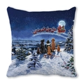 Christmas peach skin pillow case featuring dogs and cats watching Santa's sleigh - Pets Under Starry Sky (6)