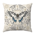 Divination butterfly plush cushion cover featuring vintage alchemy symbols and Latin text - Vintage Swallowtail Butterfly Occult Style (25)