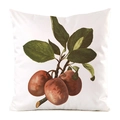Detailed view of square faux silk pillowcase featuring vintage plum fruit illustration - Purple Plum Pattern (7)