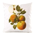 Detail of faux silk cushion cover featuring vintage botanical apple fruit print - Apple Diagram Pattern (5)
