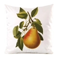 Macro view of silky square pillowcase featuring a vintage pear and leaf botanical print - Pear Pattern (1)