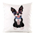 Dettaglio copricuscino con Boston Terrier e occhiali da sole in stile bandiera USA - Boston Terrier Patriottico (15)