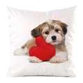 Dettaglio della federa in raso bianco con stampa di cucciolo e cuore rosso decorativo - Cucciolo Marrone e Bianco con Cuore (11)