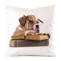 Federa per cuscino in finta seta con stampa bulldog, occhiali e libri antichi - Bulldog che Legge con gli Occhiali (2)
