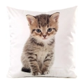 Close-up of a satin cat cushion cover showing the cute tabby kitten print detail - Cute Tabby Kitten Style (22)