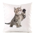Detail of cute tabby cat print on silky decorative cushion cover for sofa home decor - Tabby Kitten Raising Paw Style (20)