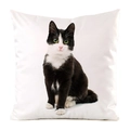Detailed view of the smooth satin texture and lifelike black and white cat print on the pillowcase - Black and White Tuxedo Cat Sitting Style (18)