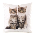 Macro detail of faux silk throw pillow showing kittens print and smooth edge stitching - Two Brown Grey Striped Kittens Style (15)