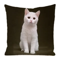 Detailed close-up of a white cat digital print on a square satin throw pillow cover - White Cat Dark Background Style (14)