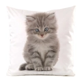 Fodera per cuscino in finta seta con stampa realistica di gattino grigio e occhi blu - Stile Gattino Grigio Soffice con Occhi Blu (2)