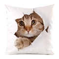 Federa per cuscino 3D con gatto in seta sintetica liscia su base quadrata bianca - Stile Gatto Tigrato Giallo che Sbircia 3D (3)