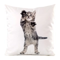 Square faux silk cushion cover featuring a cute grey tabby kitten photo on white - Grey Black Striped Tabby Kitten Standing Style (5)