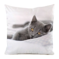 Faux silk pillow cover featuring a realistic gray kitten print on white background - Bright Yellow Eyes Grey Kitten Style (6)