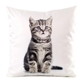 White square cushion cover with realistic grey tabby kitten print in silky satin fabric - Realistic Grey Tabby Kitten Style (7)