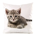 Square faux silk pillowcase featuring a realistic grey tabby cat print on a white background - Lying Grey Tabby Kitten Style (9)