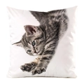 White square cushion cover with satin finish featuring a grey tabby kitten stretching - Stretching Grey Tabby Kitten Style (10)