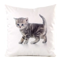 White faux silk cushion cover featuring a grey tabby kitten print with blue eyes - Blue Eye Grey Striped Kitten Style (12)