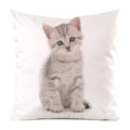 Square faux silk cushion cover in white with realistic grey kitten print for sofa decor - Realistic Grey Cat Style (13)