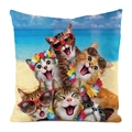 Detail eines quadratischen Kissenbezugs mit fünf Katzen mit Sonnenbrillen am Strand - Lustige Strandkatzen (8) / 45x45cm