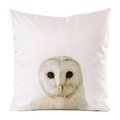 Close-up of realistic owl portrait printed on a soft white square decorative pillowcase - Owl Portrait (6)
