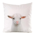 Detailopname van een schattig wit lammetje op een zijdeachtig decoratief sierkussenhoes - Lam Portret (1)
