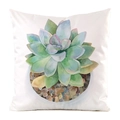 White satin cushion cover featuring a watercolor succulent plant and flowerpot - 60x60cm / Succulent Potted Plant (1)