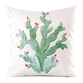 White faux silk pillowcase featuring a watercolor green cactus with red flowers - 60x60cm / Hand-painted Cactus (2)