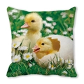 Detailed view of yellow ducklings and daisies printed on a soft peach skin pillowcase - Yellow Ducks Playing (6)