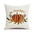 Linen pumpkin throw pillow cover with golden 'be thankful' text for autumn decor - 45x45cm / Be Thankful Pumpkin Style (2)