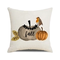 Linen fall cushion cover with robin, orange pumpkin, and hand-lettered 'fall' text - 45x45cm / Robin and Pumpkin Style (4)