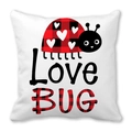 Valentine's heart love bug peach skin pillowcase with red plaid ladybug design - Love Bug Plaid Ladybug Style